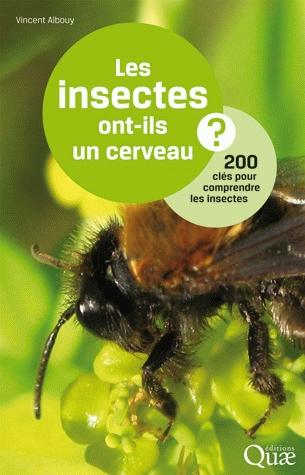 Les insectes ont-ils un cerveau ?