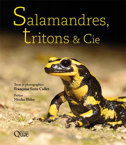 couv Salamandres, tritons et cie.